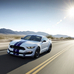 Ford Mustang Shelby GT350 está de regresso