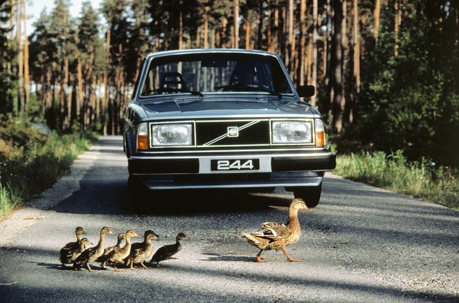 Volvo 244 GL D5 Estate