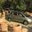 Fiat Idea 1.3 16v Multijet