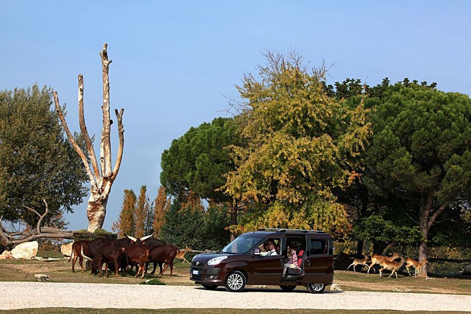 Fiat Doblò Cargo Maxi 1.6 Multijet 105hp SX