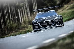 Sebastien Loeb estará atrás do volante