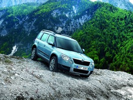 Skoda Yeti 2.0 TDI CR 110cv Ambition