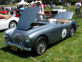 Austin-Healey 100 BN 1