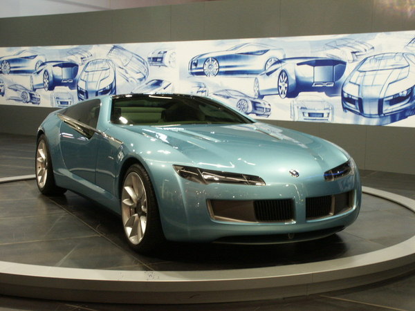 Bertone Birusa