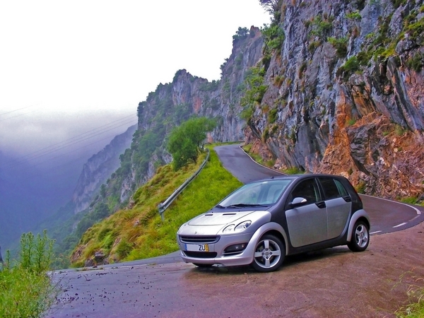 smart Forfour