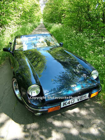 TVR V8 S