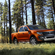 Ford Ranger WildTrak