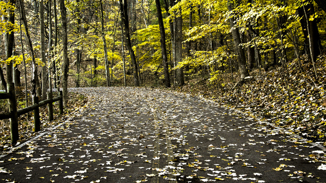 Be aware of wet leaves