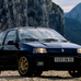 Renault Clio I Williams: 1993-1996