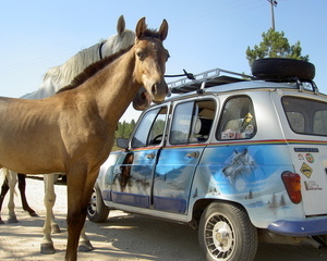 Renault 4 GTL