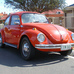 1302 S Beetle