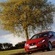 Seat Ibiza 1.9 TDI DPF Reference