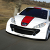 Peugeot 207 RCup