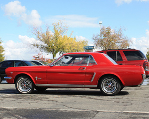 Mustang Hardtop