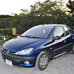 Panhard et Levassor  vs Peugeot 12 HP vs Peugeot 206 1.1 XR