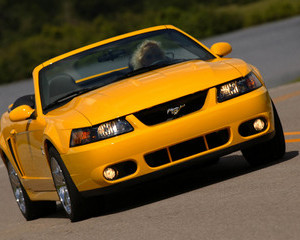 Mustang SVT Cobra Convertible