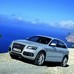 Audi Q5 2.0 TDI SE Start/Stop vs Skoda Octavia Estate 2.0 TDI CR vRS vs Volkswagen Amarok 2.0 TDI 4Motion Extra