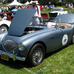 Austin-Healey 100 vs BMW 528i