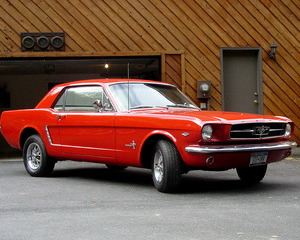 Mustang