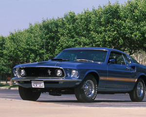 Mustang Mach 1 428