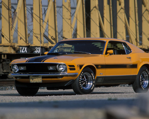 Mustang Mach 1 429