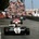 Williams FW08 Cosworth vs Embassy WF01 Zytek vs Lola T70 Mk2 Spyder Ford