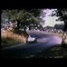 Watkins Glen Grand Prix 1952 Color Footage